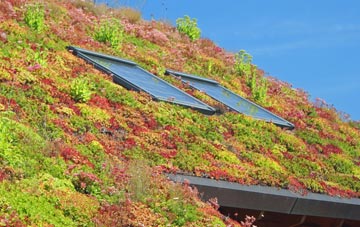 Radford living roof systems