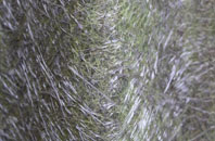 Radford fibreglass roof work